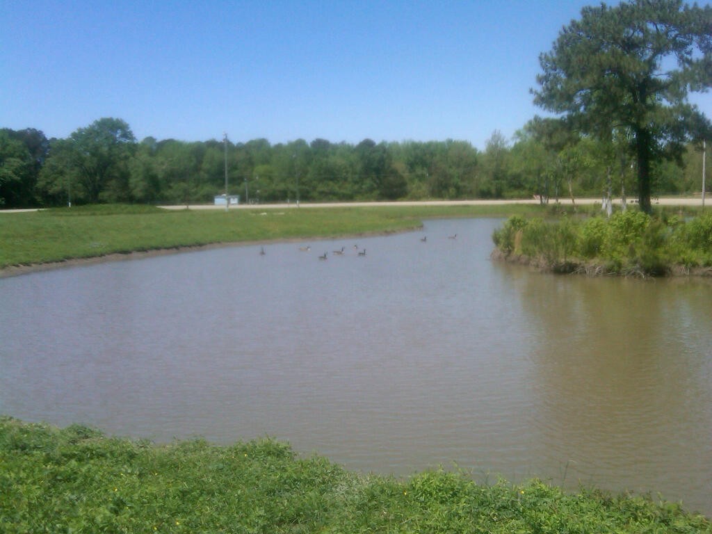 IMG00681-20110429-1217[1]