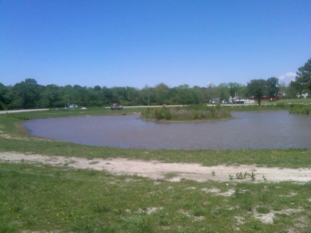 IMG00683-20110429-1223[1]
