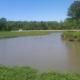 IMG00681-20110429-1217[1]